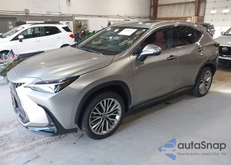 2025 Lexus Nx 350 Premium из США, поврежденный, VIN 2T2GGCEZ6SC079150